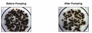 Droplet Size Analysis Before and After Pumping